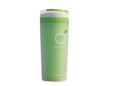 Insulated Water Bottle with Handle BPA Free Green