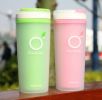 Insulated Water Bottle with Handle BPA Free Green